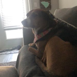 Meet your Posher, Erin